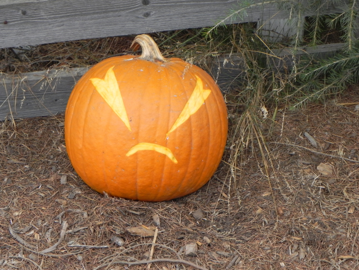 Volt, Nipomo Pumpkin Patch best carving idea